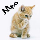 Meo a[1]
