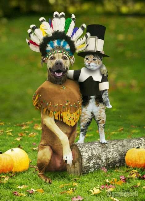 Funny picture 82