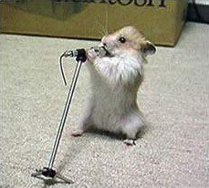 Singing rodent